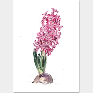 Hyacinth Posters and Art